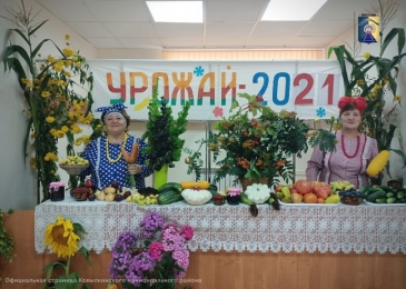 Август устали не знает – собирает, припасает